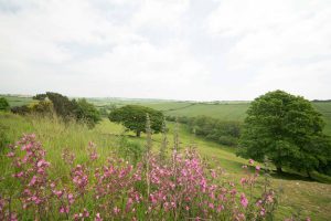 Our location in Cornwall