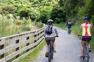 Camel Trail